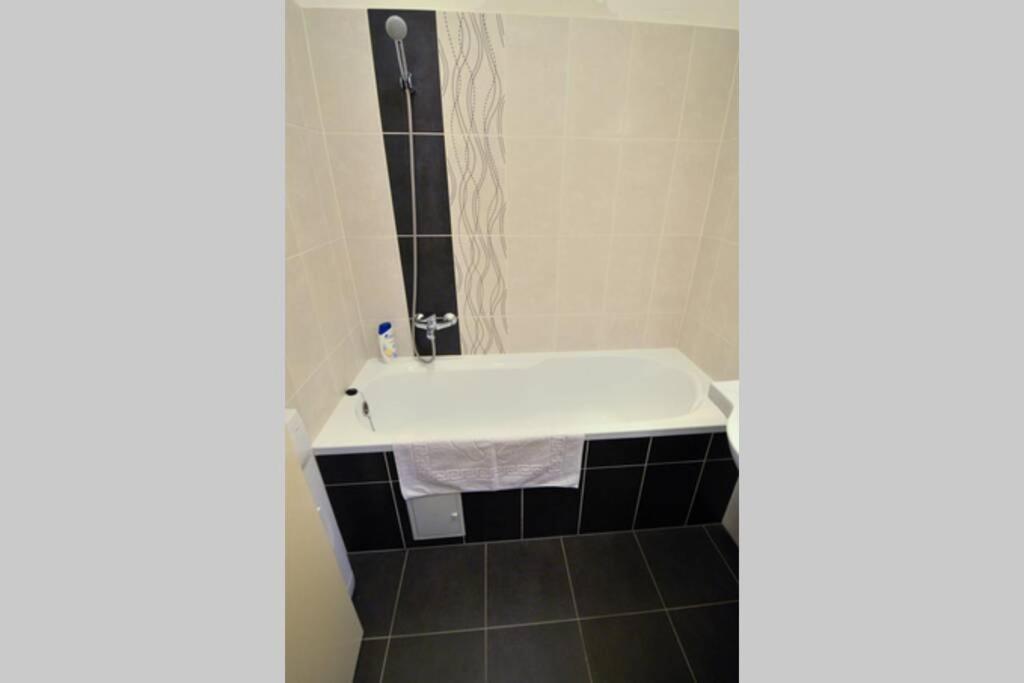 City Center Apartment Debrecen Esterno foto